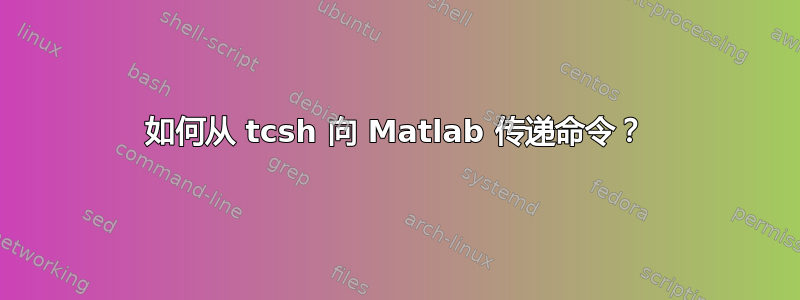 如何从 tcsh 向 Matlab 传递命令？