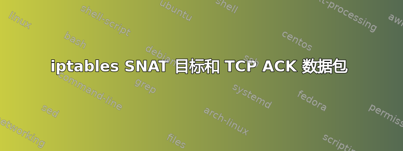 iptables SNAT 目标和 TCP ACK 数据包