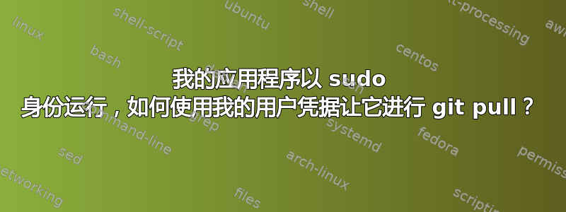 我的应用程序以 sudo 身份运行，如何使用我的用户凭据让它进行 git pull？