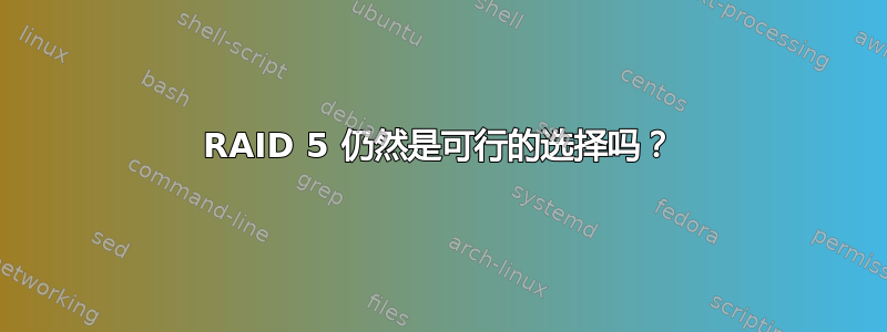 RAID 5 仍然是可行的选择吗？