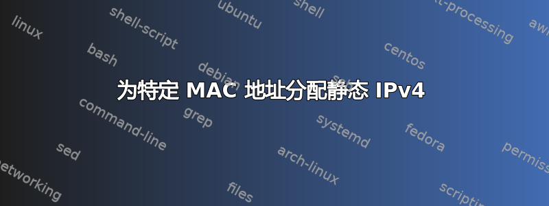 为特定 MAC 地址分配静态 IPv4