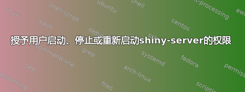 授予用户启动、停止或重新启动shiny-server的权限