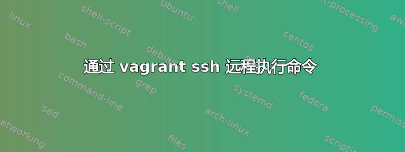 通过 vagrant ssh 远程执行命令