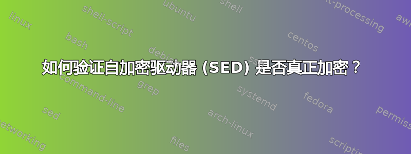 如何验证自加密驱动器 (SED) 是否真正加密？