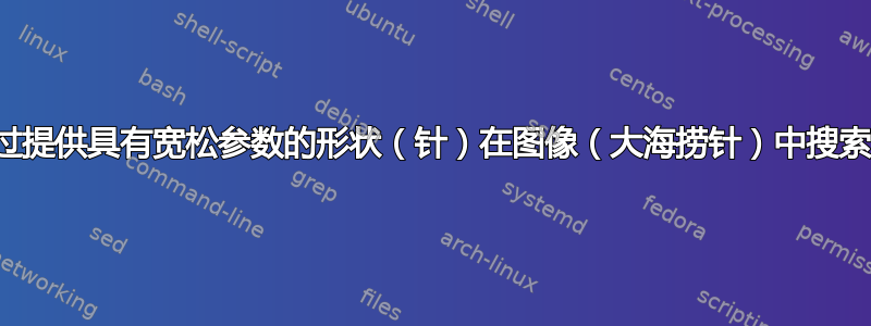 通过提供具有宽松参数的形状（针）在图像（大海捞针）中搜索？