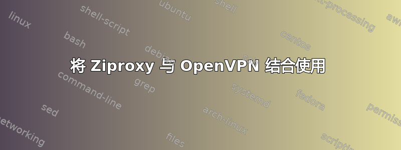 将 Ziproxy 与 OpenVPN 结合使用