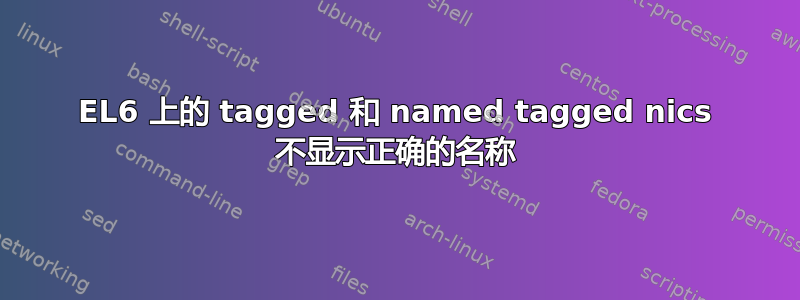 EL6 上的 tagged 和 named tagged nics 不显示正确的名称