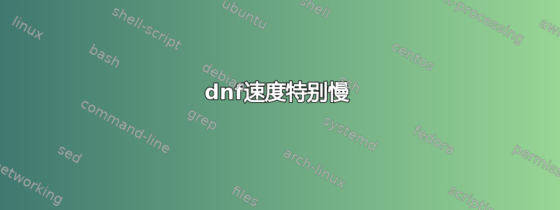 dnf速度特别慢