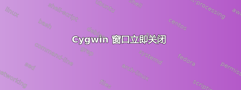 Cygwin 窗口立即关闭