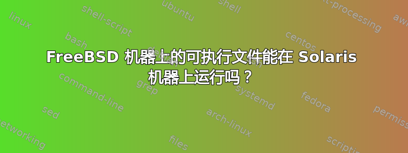 FreeBSD 机器上的可执行文件能在 Solaris 机器上运行吗？