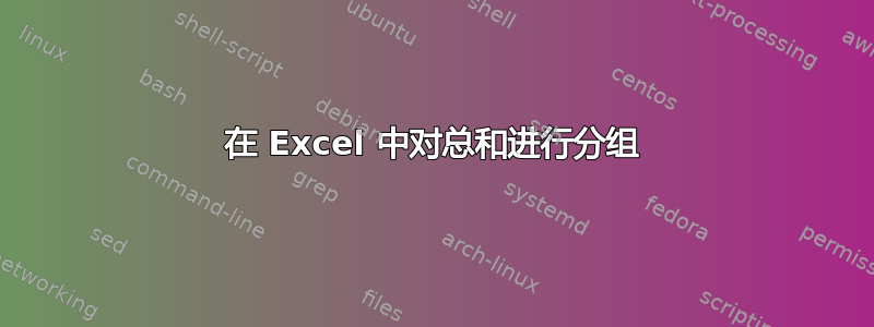 在 Excel 中对总和进行分组