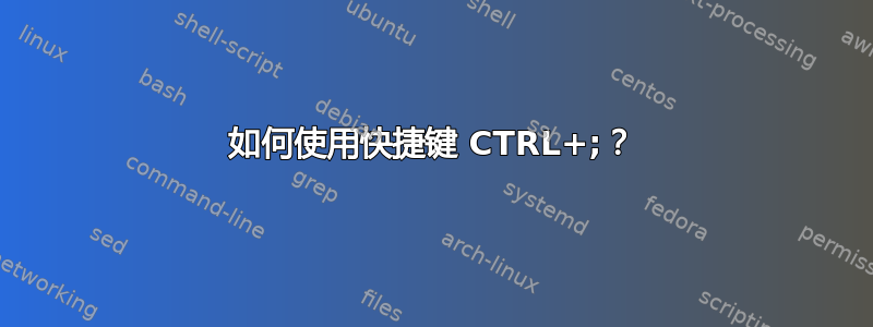 如何使用快捷键 CTRL+;？