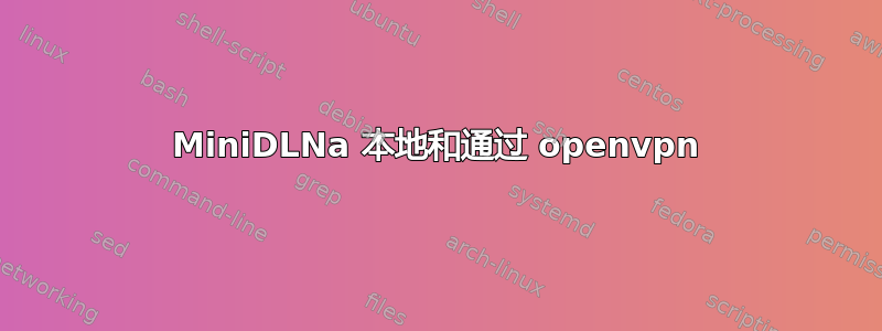 MiniDLNa 本地和通过 openvpn