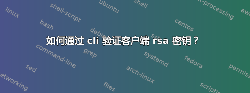 如何通过 cli 验证客户端 rsa 密钥？