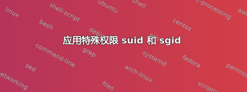 应用特殊权限 suid 和 sgid