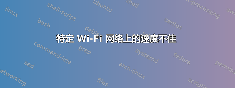 特定 Wi-Fi 网络上的速度不佳