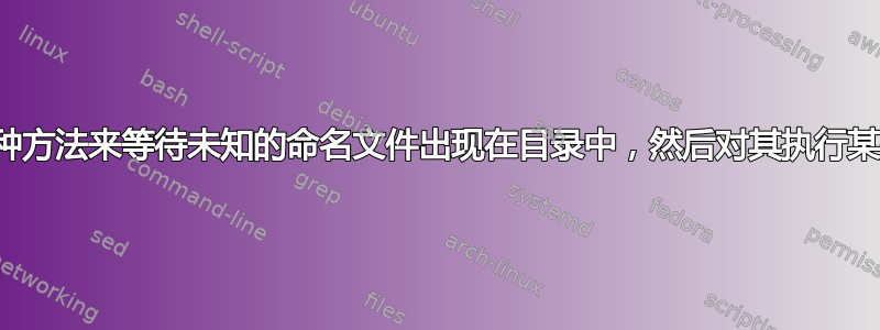 找到一种方法来等待未知的命名文件出现在目录中，然后对其执行某些操作