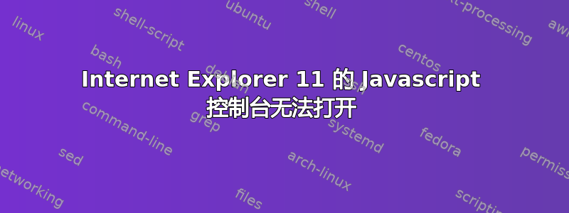 Internet Explorer 11 的 Javascript 控制台无法打开