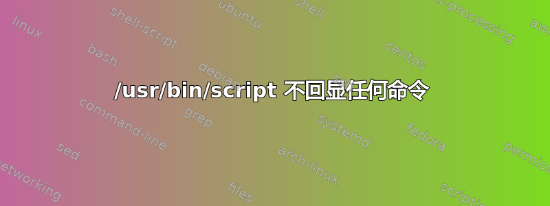 /usr/bin/script 不回显任何命令