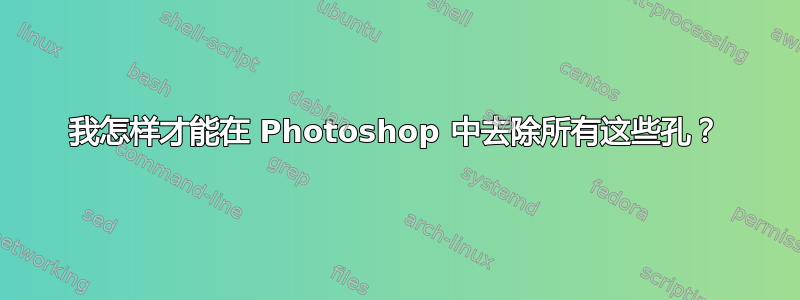 我怎样才能在 Photoshop 中去除所有这些孔？