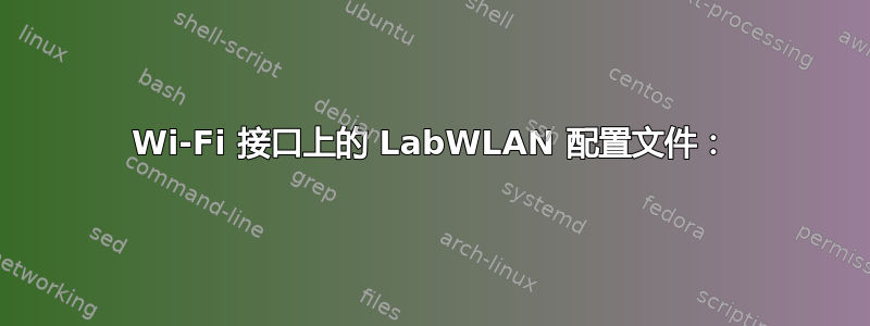 Wi-Fi 接口上的 LabWLAN 配置文件：