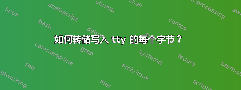 如何转储写入 tty 的每个字节？