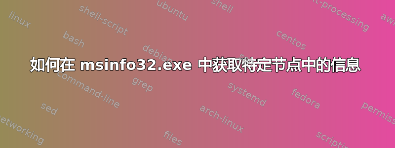 如何在 msinfo32.exe 中获取特定节点中的信息