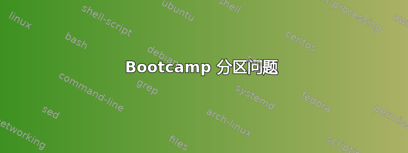 Bootcamp 分区问题