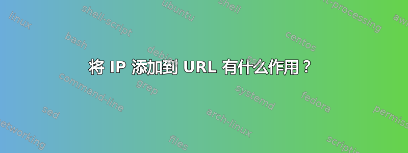 将 IP 添加到 URL 有什么作用？