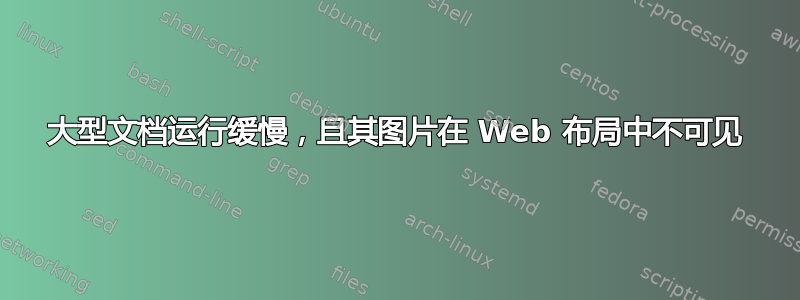 大型文档运行缓慢，且其图片在 Web 布局中不可见