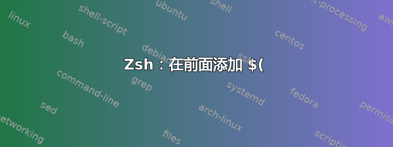 Zsh：在前面添加 $(