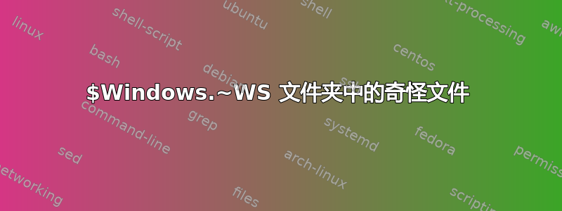 $Windows.~WS 文件夹中的奇怪文件