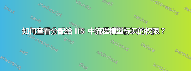 如何查看分配给 IIS 中流程模型标识的权限？