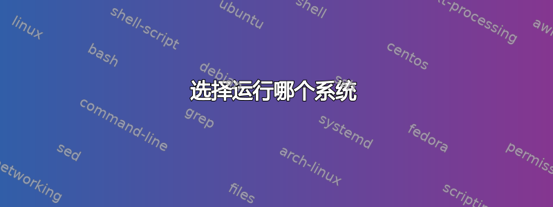 选择运行哪个系统