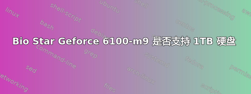 Bio Star Geforce 6100-m9 是否支持 1TB 硬盘