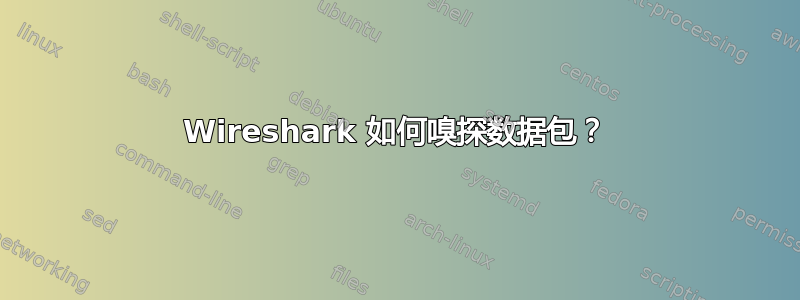 Wireshark 如何嗅探数据包？