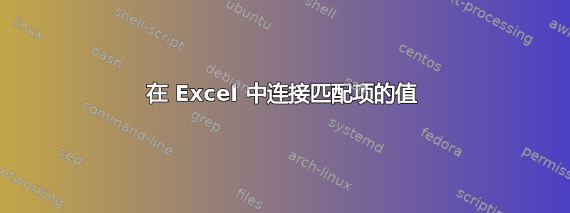 在 Excel 中连接匹配项的值