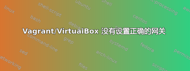 Vagrant/VirtualBox 没有设置正确的网关