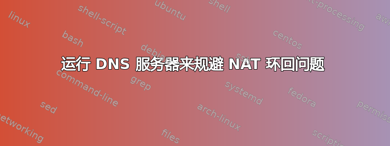 运行 DNS 服务器来规避 NAT 环回问题