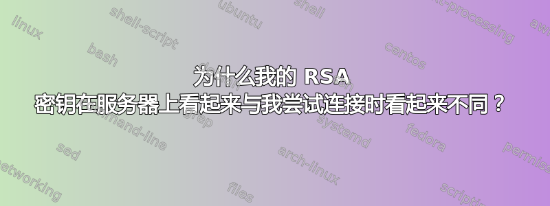 为什么我的 RSA 密钥在服务器上看起来与我尝试连接时看起来不同？