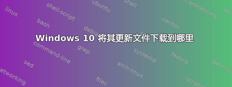 Windows 10 将其更新文件下载到哪里