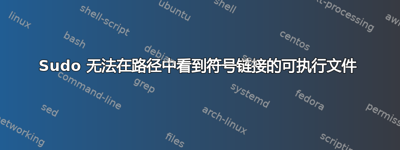 Sudo 无法在路径中看到符号链接的可执行文件