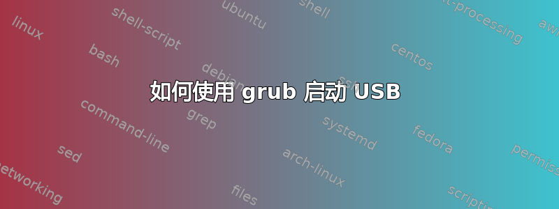 如何使用 grub 启动 USB