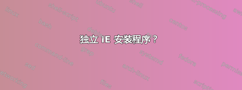 独立 IE 安装程序？