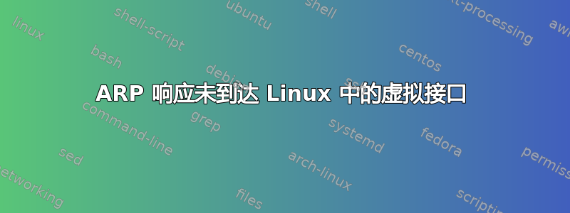 ARP 响应未到达 Linux 中的虚拟接口