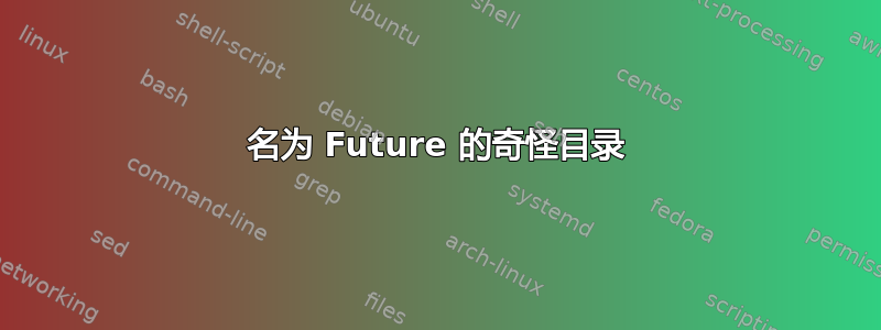 名为 Future 的奇怪目录