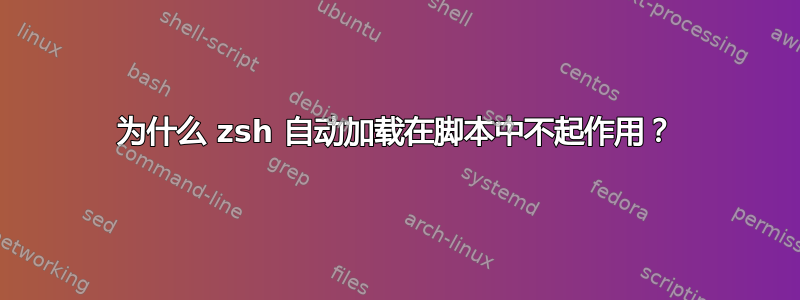 为什么 zsh 自动加载在脚本中不起作用？