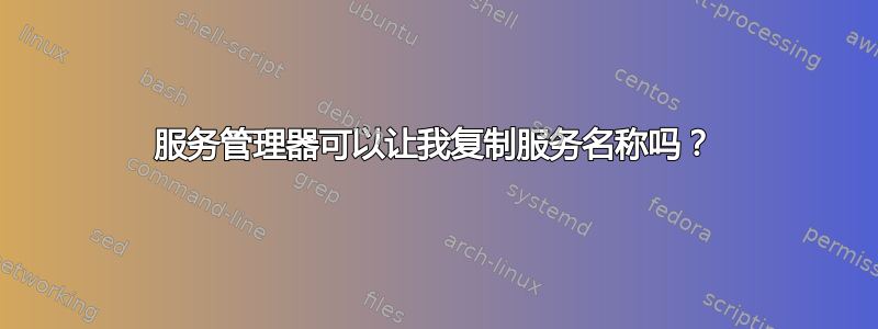 服务管理器可以让我复制服务名称吗？