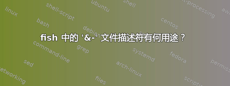 fish 中的 '&-' 文件描述符有何用途？