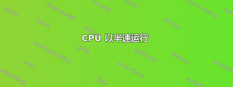 CPU 以半速运行